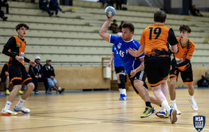 6ab13183cfc38_SG323.jpg