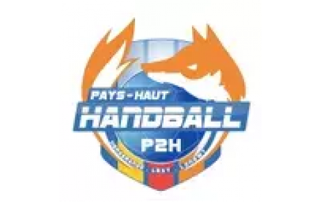 P2H HANDBALL